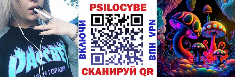 Псилоцибиновые грибы прущие грибы  Пучеж 