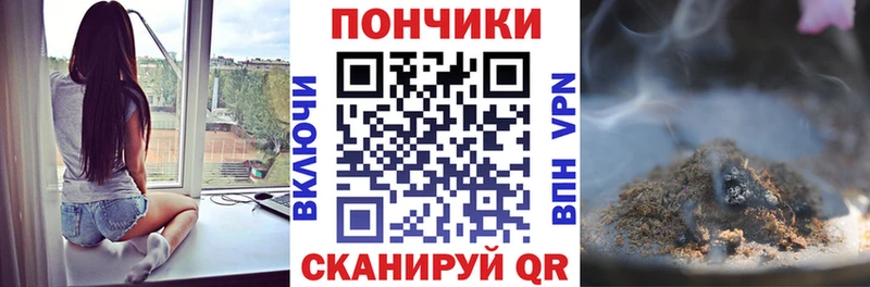 цены наркотик  Пучеж  Канабис Amnesia 